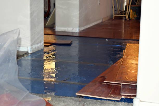 Professional Basement Flood Cleanup technician working in Grimes, IA